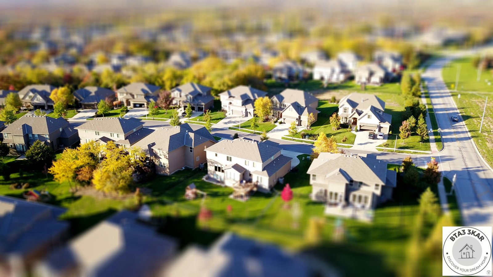 pexels-davidmcbee-1546168